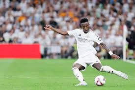 是本菲卡的 是本菲卡的